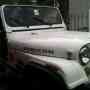 VENDO JEEP WILLYS IMPECABLE