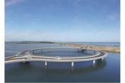 Puente circular nuevo 